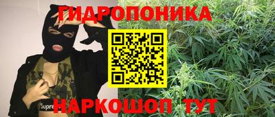 спайс Гусев