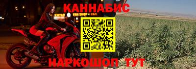 спайс Гусев