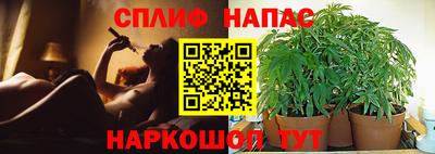 стафф Гусиноозёрск
