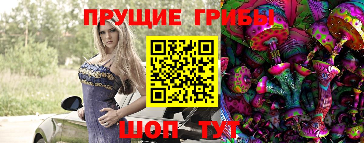 Карачаевск  Псилоцибиновые грибы Magic Shrooms  Галлюциногенные грибы Cubensis  купить наркотик  Вход с VPN 
