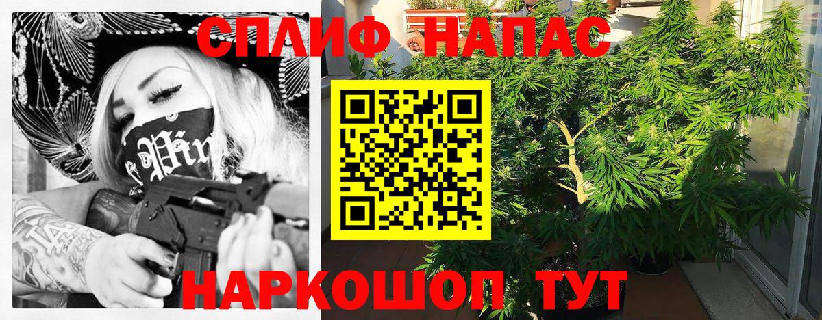 Шишки марихуана LSD WEED  МАРИХУАНА Bruce Banner  Карачаевск  Вход с VPN  Каннабис планчик  Канабис Ganja 